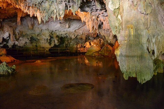 Turtles and Cenote from Riviera Maya - Who this tour fits best (and who might want a different plan)
