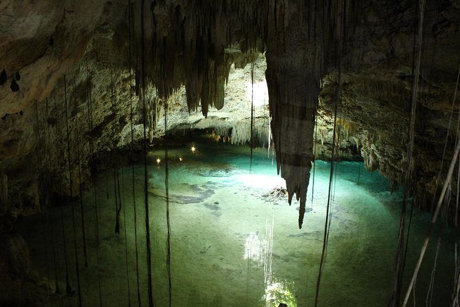 Turtles and Cenote snorkeling activity from Riviera Maya - Snacks, water, and that little extra kindness