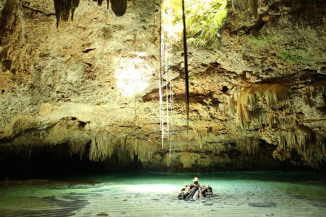 Turtles and Cenote snorkeling activity from Riviera Maya - Language and guide style: English, plus Russian day limits