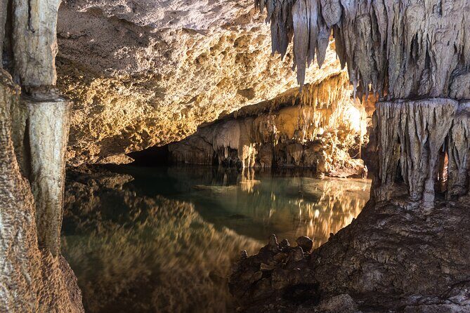 Turtles & Cenote! Half Day from Riviera Maya & Playa del Carmen - Gear, Safety, and Sun Rules That Keep the Day Smooth