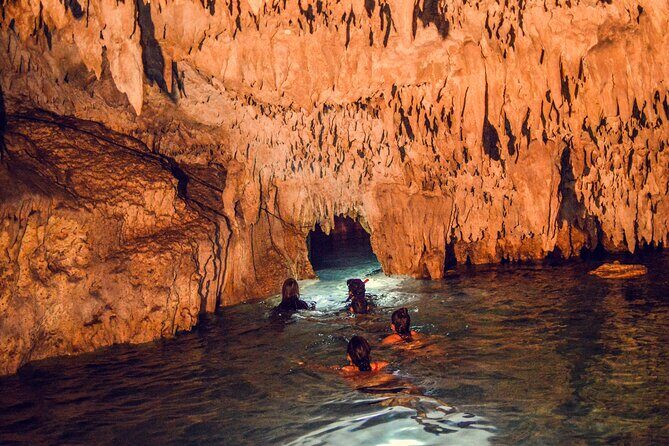 Turtles & Cenote! Half Day from Riviera Maya & Playa del Carmen - Should You Book Turtles & Cenote? My Practical Take