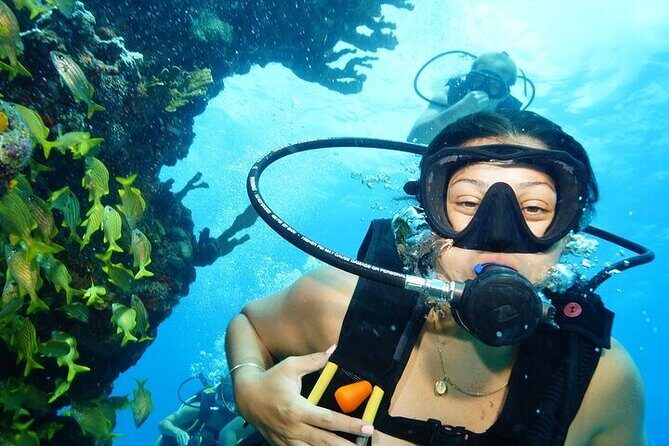 Two Dives and Class for Begginers Divers in Cancun - What you actually do in 6 hours