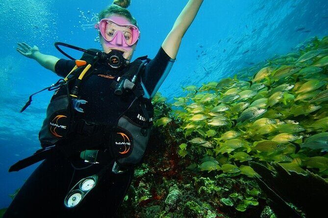 Two Dives and Class for Begginers Divers in Cancun - The price: what $165 covers, and what you still need to plan for