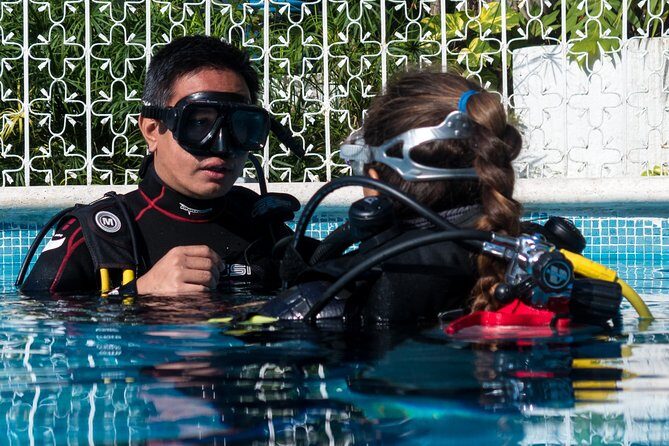 Two reef discovery dives with professional instructor (no experience necessary) - A Small-Group SCUBA Tryout That Feels Like Real Training