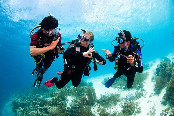 Two reef discovery dives with professional instructor (no experience necessary) - Gear, Tank Setup, and Why Included Equipment Is a Big Deal