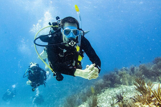 Two reef discovery dives with professional instructor (no experience necessary) - Morning Briefing, Pool Practice, and the Moment It Clicks