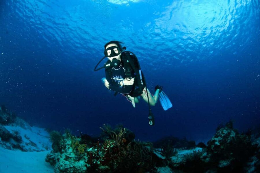 Underwater Museum Musa : SCUBA DIVING FOR BEGINNERS - Your first practice at MUSA: learning the basics before you go down
