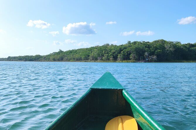 Unforgettable Journey: Coba, Monkey Reserve, and Mayan Cenote - Punta Laguna monkey reserve: seeing spider and howler monkeys in a protected space