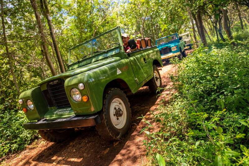 Uxmal: Private Plantations Tour in a Vintage Land Rover - Jungle viewing points: where the photos look better than the marketing