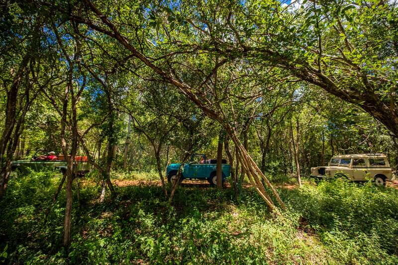 Uxmal: Private Plantations Tour in a Vintage Land Rover - The guide and crew factor: why this tour gets top marks