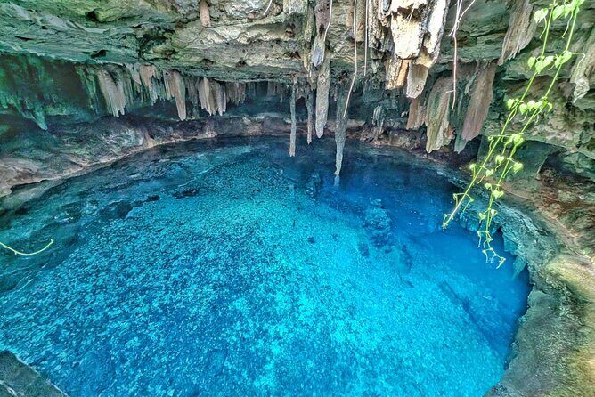 Uxmal, two Amazing Cenotes & Local Food Tour from Mérida - Key things I’d circle on your plan