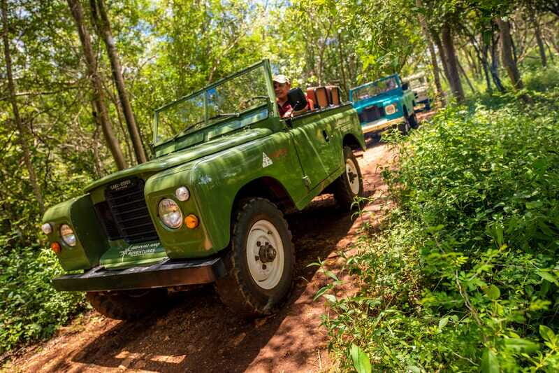 Uxmal: Vintage Land Rover Expedition to Uxmal Cenotes - Wildlife spotting and “real road” driving with your guide
