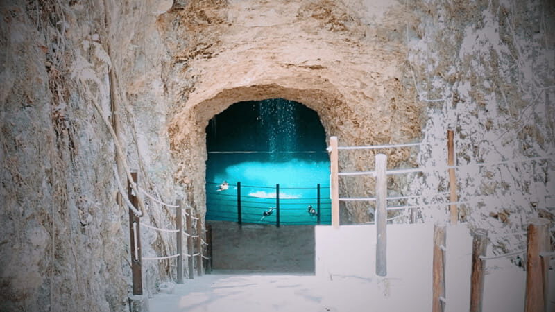 VALLADOLID: RIO LAGARTOS + LAS COLORADAS + CENOTE (SHARED TRIP) - Las Coloradas: pink lakes and the reality check