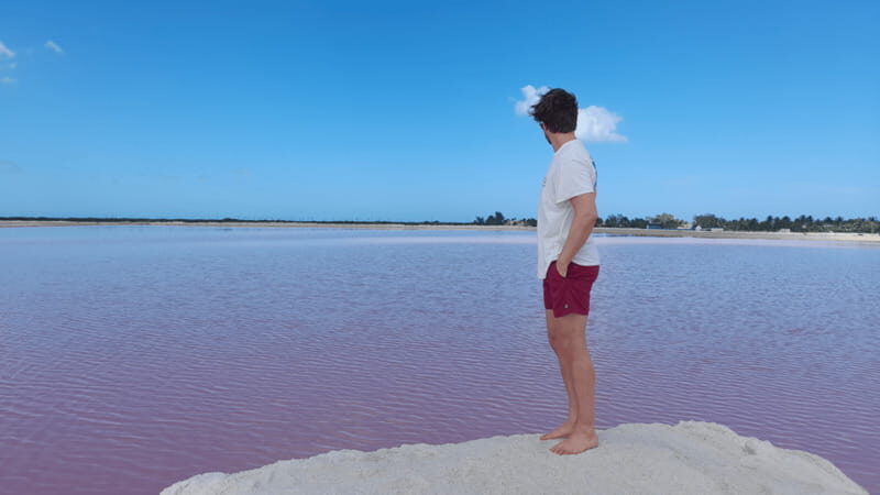 VALLADOLID: RIO LAGARTOS + LAS COLORADAS + CENOTE (SHARED TRIP) - Who this tour suits best