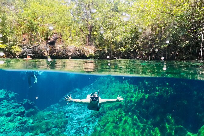 VIP Cenotes & ATVs Private Tour - Stop 3: Chemuyil ATV Hour in the Jungle