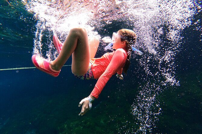 VIP Cenotes Private Tour (half-day) - How the Half-Day Format Works (and Why It Feels Worth It)