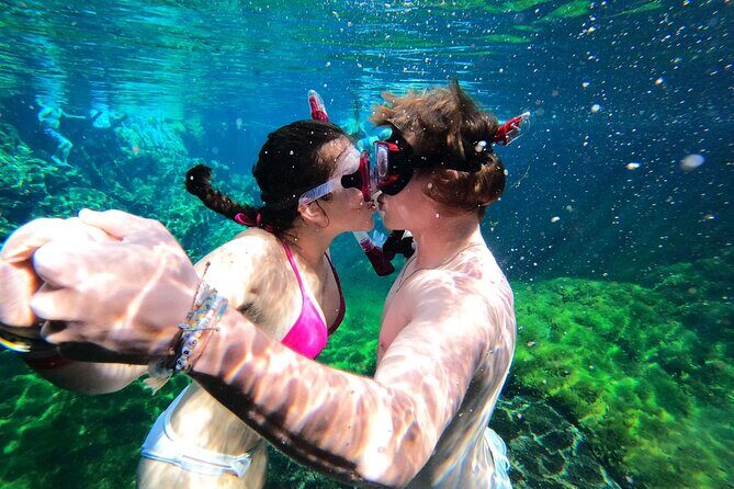 VIP Cenotes Private Tour (half-day) - Price and Value: What $185 Buys You Here
