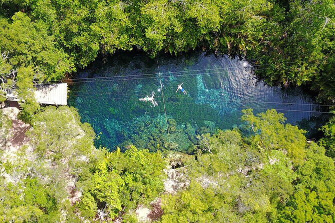 VIP Cenotes & Turtles Private Tour - Price and value: what $215 buys you in real terms