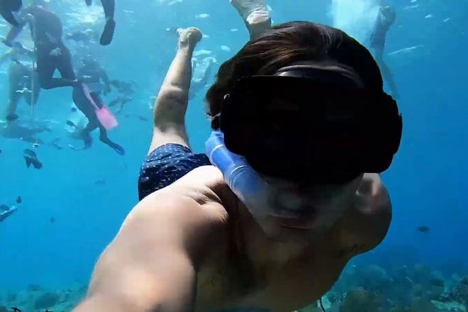 VIP Private Glass Bottom Boat and Snorkeling, 3 Reefs in Cozumel - Location logistics: near cruise and ferry areas