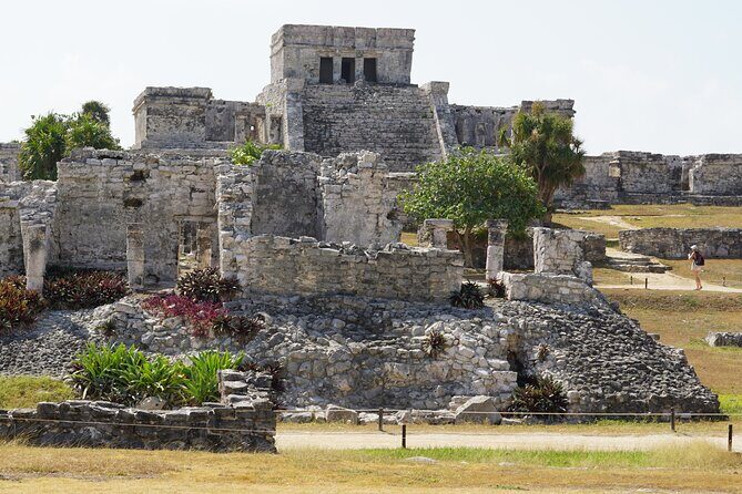 VIP Tulum & Turtles Private Tour - Who This Tour Fits Best