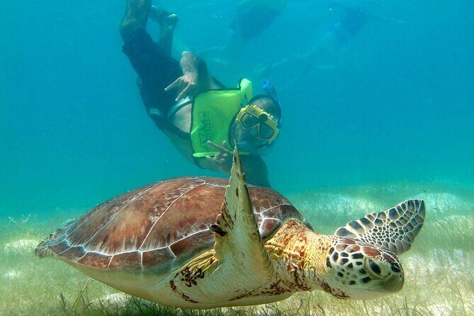 VIP Tulum & Turtles Private Tour - Tulum Archaeological Site With a Local Expert by the Caribbean Sea