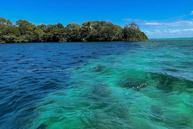 Visit Bacalar full day with boat from Merida - La Playita Free Time by the Lagoon: Eat On Your Own, Then Swim