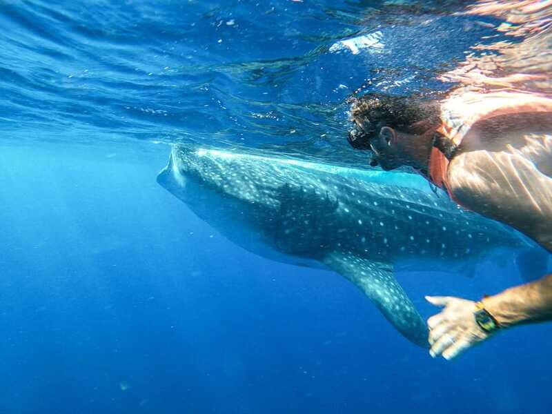Whale Shark Adventure from Isla Mujeres - Food and Comfort: The Little Details That Change Your Day