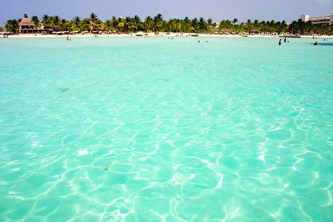 Whale Shark Encounter Experience in Cancun (Snack Lunch included) - Price and Value: What $189 Covers, and What You Still Need to Budget