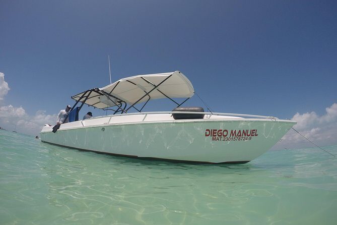 Whale shark encounter Private tour - swim with whale shark cancun - What you might see besides whale sharks