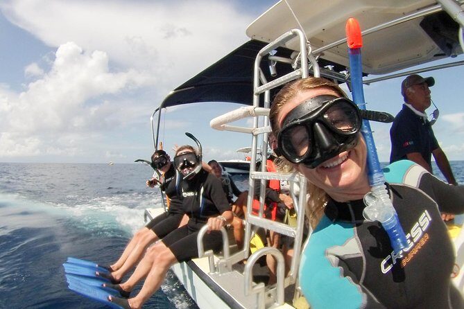 Whale shark encounter Private tour - swim with whale shark cancun - Safety and how the crew keeps things calm