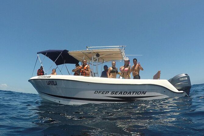 Whale Shark Experience from Playa del Carmen - Isla Mujeres Break: Ceviche and Guacamole With Salt Air
