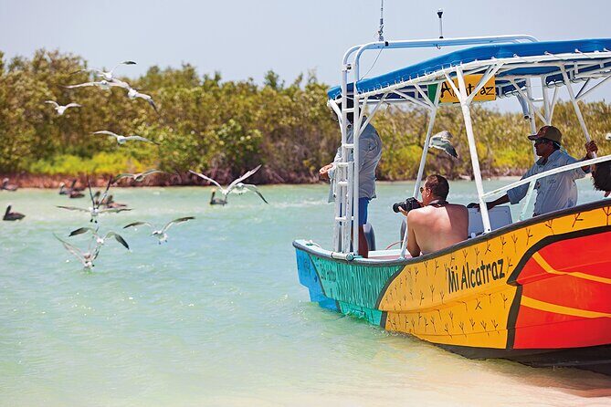 Whale Shark Group Adventure from Isla Holbox - Boca Santa Paula: Stretch, Swim, and Get Fed
