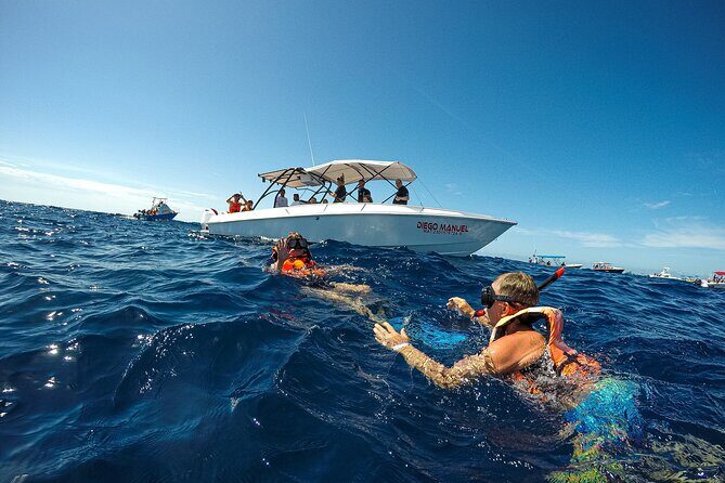 Whale Shark Snorkeling Adventure with Lunch - Price and value: where the $225 fits (and where it might feel tight)