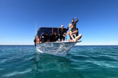 Whale Shark Snorkeling Experience from Cancun and Riviera Maya - Getting to the Right Water: Boat Time and What to Watch For