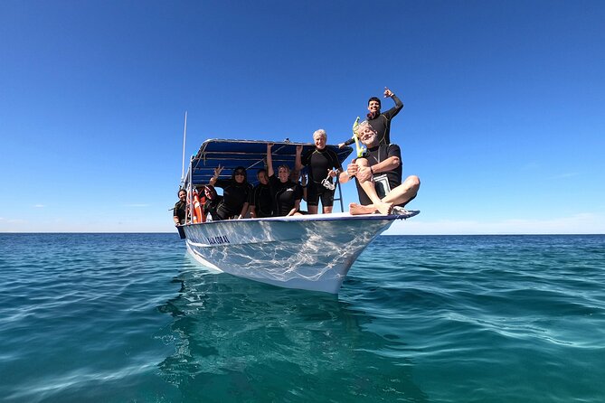 Whale Shark Snorkeling Experience from Cancun and Riviera Maya - Getting to the Right Water: Boat Time and What to Watch For