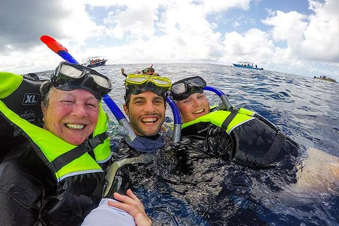 Whale Shark Tour from Cancun, Playa del Carmen, Tulum and Riviera Maya - Whale shark time is controlled by rules, not vibes