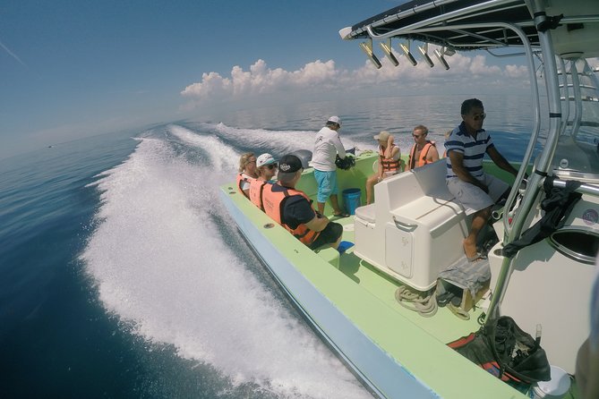 Whale Shark Tour from Cancun, Playa del Carmen, Tulum and Riviera Maya - Isla Mujeres Playa Norte: lunch, shallow water, and a calmer landing