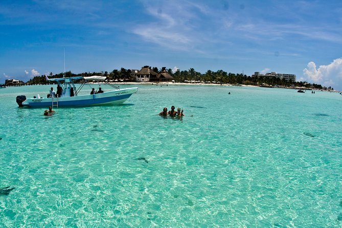 Whale Shark Tour from Cancun, Playa del Carmen, Tulum and Riviera Maya - Wetsuits, snorkeling gear, and what you’ll pay extra