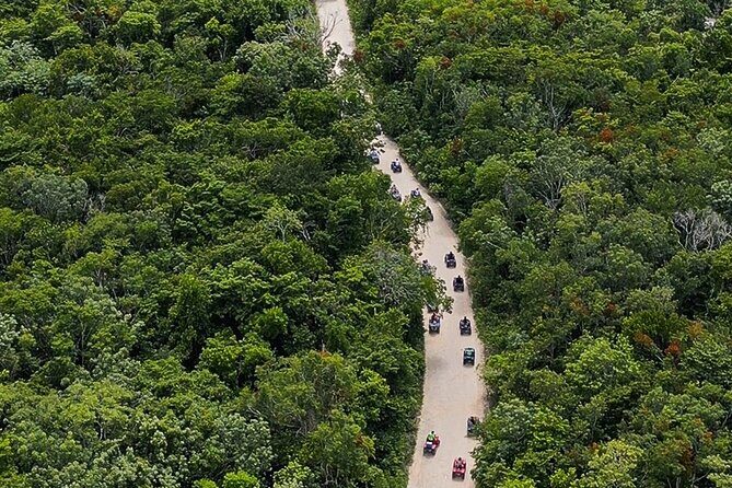 Wild Jungle ATV Adventure with Cenote and Monkey Sanctuary - Price and Value: Is $169 a Good Deal Here?