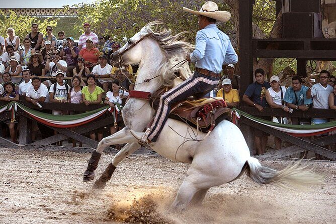 Xcaret Park Day Tour & Night Show with Transportation - Xcaret Park: a full day of nature, ruins, and animal encounters