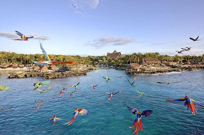 Xcaret Park Day Tour & Night Show with Transportation - Price and value: is $157 a fair deal?