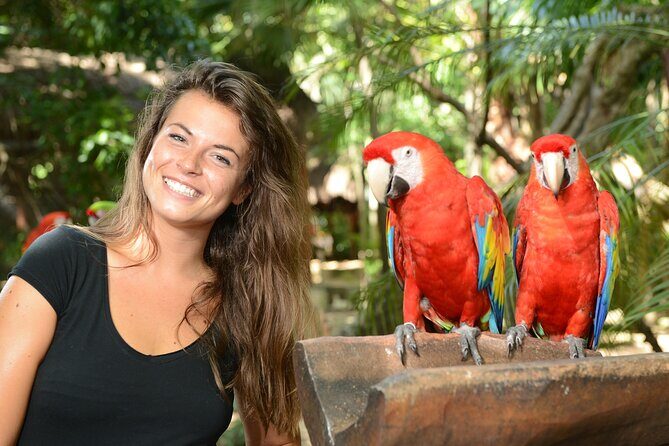 Xcaret Park Plus Access with Transportation and Night Show - Why Xcaret Park Plus plus transportation feels like a smart shortcut