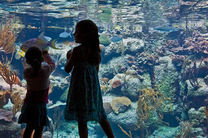 Xcaret Park Plus Access with Transportation and Night Show - Jungle trail time, beach access, and natural pools
