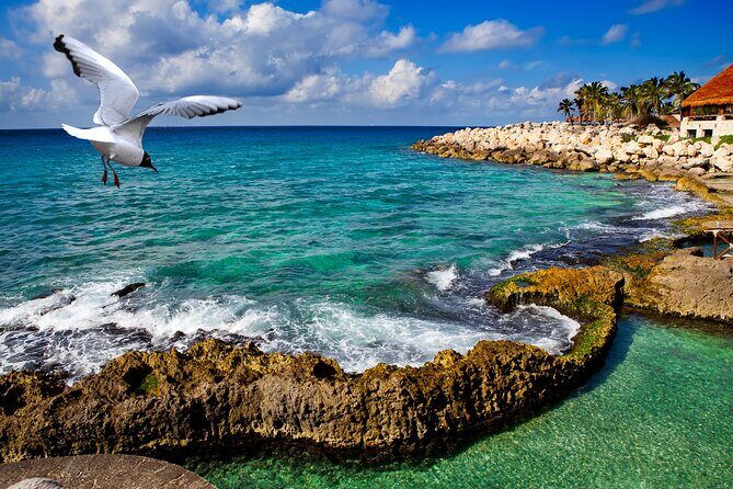 Xcaret Park Plus Tour! Nature, Culture and Nightshow from Cancun - Xcaret México Espectacular: what the night show adds