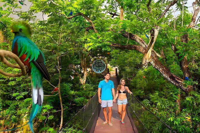 Xcaret Park Plus Tour! Nature, Culture and Nightshow from Cancun - Morning pickup at 7:00am and the shared-ride reality