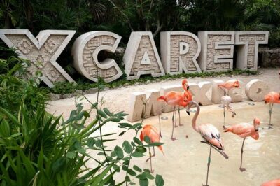 Xcaret Plus Full Day Tour - Smart Cancun Pickup and Mobile Ticket: How to Avoid Day-Start Headaches