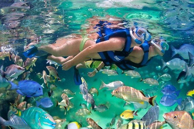 Xikbal Eco Park All Inclusive - Xikbal Eco Park in the Tres Reyes jungle: nature plus Mayan culture