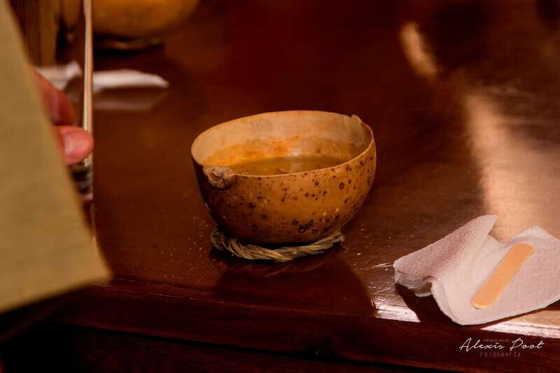 Xkopek, Mayan Bees Tour and Honey Tasting in Valladolid - Meliponario and opening a beehive: what you’re really looking at