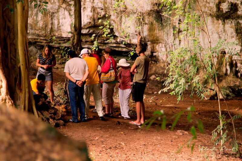 Xkopek, Mayan Bees Tour and Honey Tasting in Valladolid - Who should book this tour (and who should skip it)