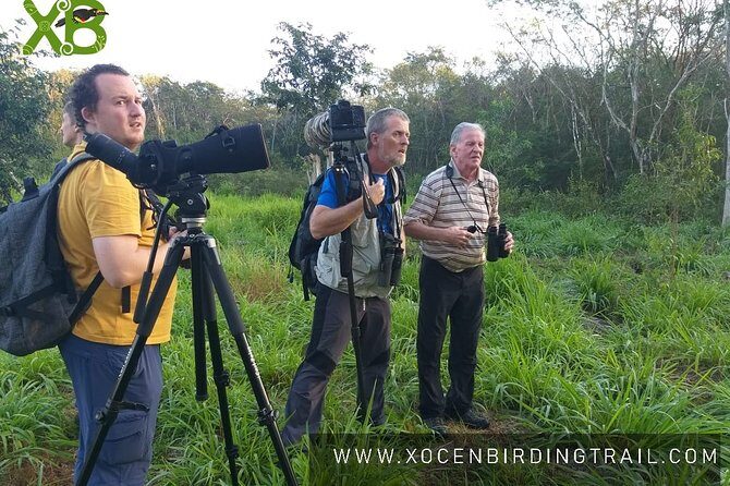 Xocen Birding - Key things that make Xocén Birding Trail worth your morning